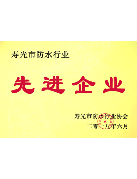 先進(jìn)企業(yè)